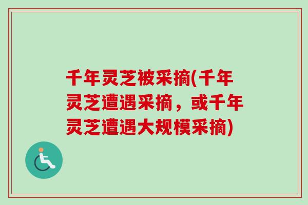 千年灵芝被采摘(千年灵芝遭遇采摘，或千年灵芝遭遇大规模采摘)