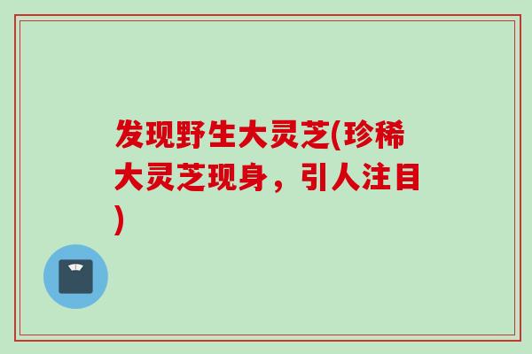 发现野生大灵芝(珍稀大灵芝现身，引人注目)