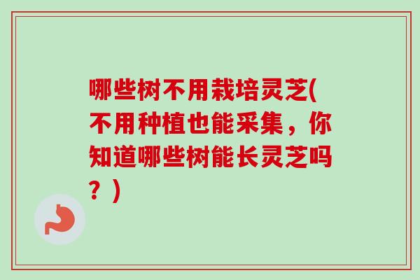 哪些树不用栽培灵芝(不用种植也能采集，你知道哪些树能长灵芝吗？)