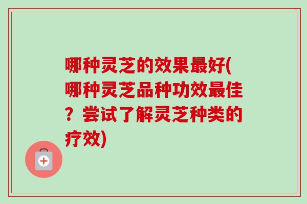 哪种灵芝的效果最好(哪种灵芝品种功效最佳？尝试了解灵芝种类的疗效)
