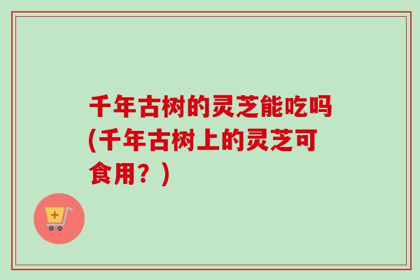 千年古树的灵芝能吃吗(千年古树上的灵芝可食用？)