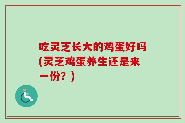 吃灵芝长大的鸡蛋好吗(灵芝鸡蛋养生还是来一份？)