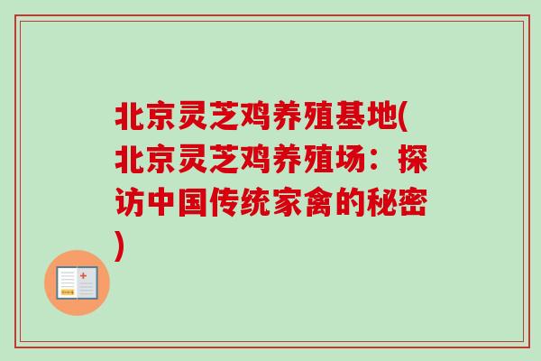 北京灵芝鸡养殖基地(北京灵芝鸡养殖场：探访中国传统家禽的秘密)