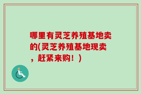 哪里有灵芝养殖基地卖的(灵芝养殖基地现卖,赶紧来购!) 哪里有灵芝养殖基地卖的(灵芝养殖基地现卖,赶紧来购!)