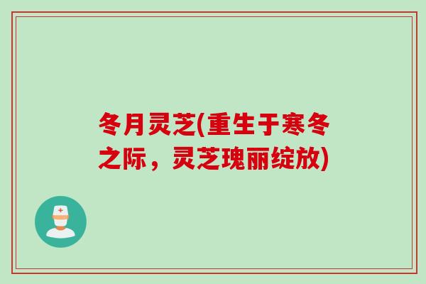 冬月灵芝(重生于寒冬之际，灵芝瑰丽绽放)