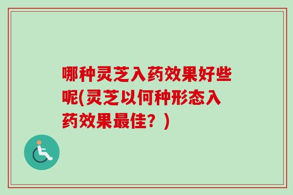 哪种灵芝入药效果好些呢(灵芝以何种形态入药效果最佳？)