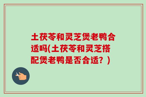 土茯苓和灵芝煲老鸭合适吗(土茯苓和灵芝搭配煲老鸭是否合适?) 土茯苓和灵芝煲老鸭合适吗(土茯苓和灵芝搭配煲老鸭是否合适?)