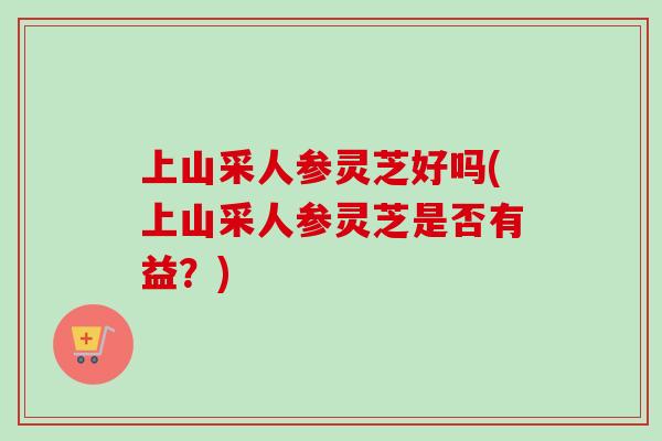 上山采人参灵芝好吗(上山采人参灵芝是否有益？)