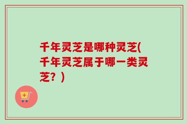 千年灵芝是哪种灵芝(千年灵芝属于哪一类灵芝？)