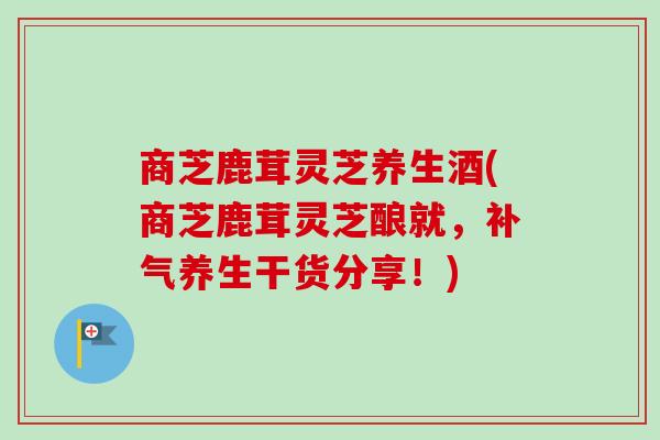 商芝鹿茸灵芝养生酒(商芝鹿茸灵芝酿就，补气养生干货分享！)