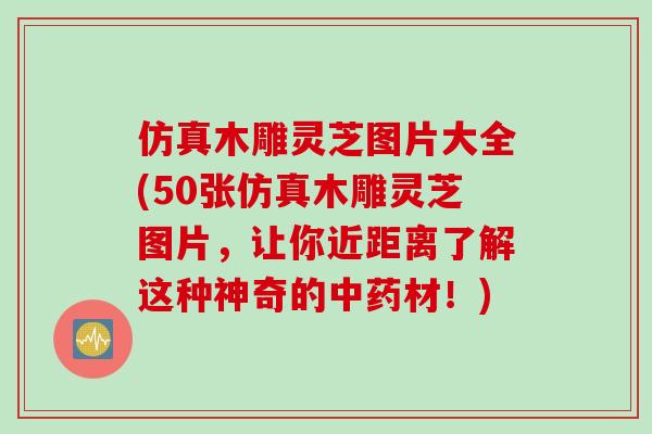 仿真木雕灵芝图片大全(50张仿真木雕灵芝图片，让你近距离了解这种神奇的中药材！)
