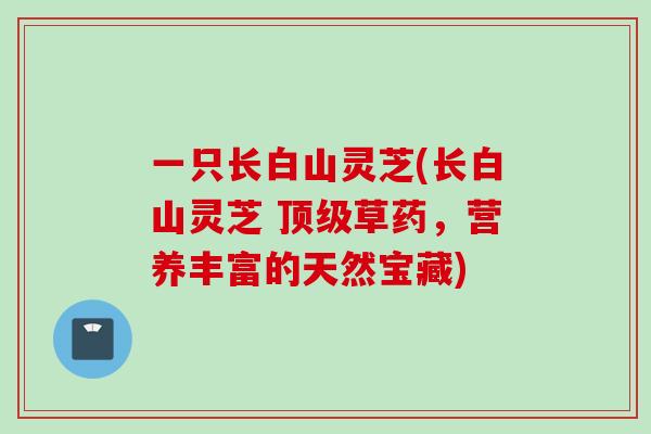 一只长白山灵芝(长白山灵芝 顶级草药，营养丰富的天然宝藏)