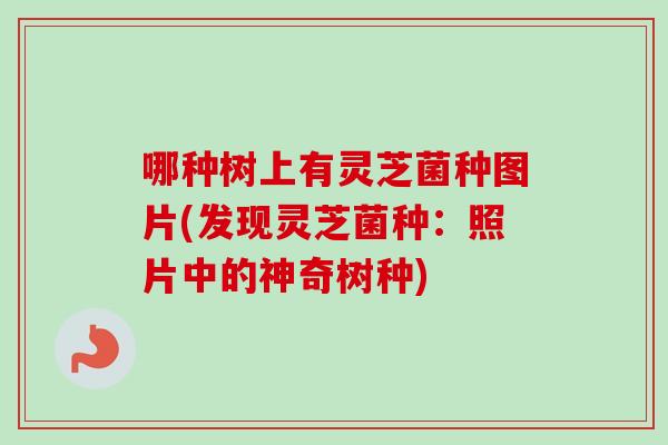 哪种树上有灵芝菌种图片(发现灵芝菌种：照片中的神奇树种)