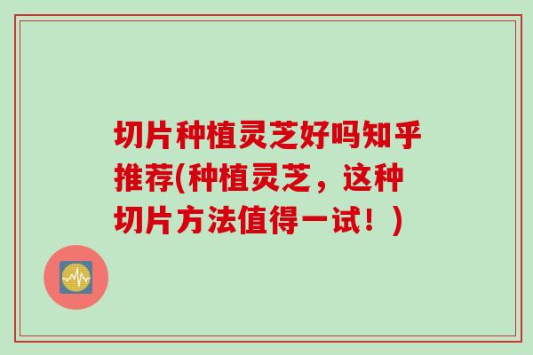 切片种植灵芝好吗知乎推荐(种植灵芝，这种切片方法值得一试！)