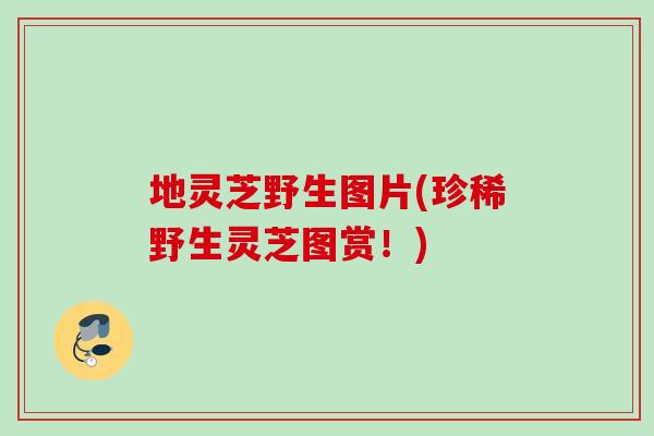 地灵芝野生图片(珍稀野生灵芝图赏！)
