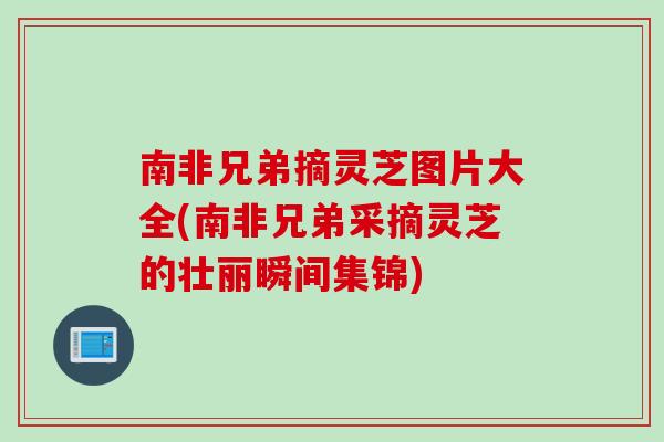南非兄弟摘灵芝图片大全(南非兄弟采摘灵芝的壮丽瞬间集锦)