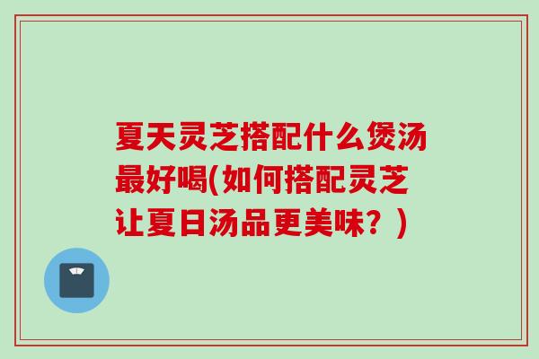 夏天灵芝搭配什么煲汤最好喝(如何搭配灵芝让夏日汤品更美味？)