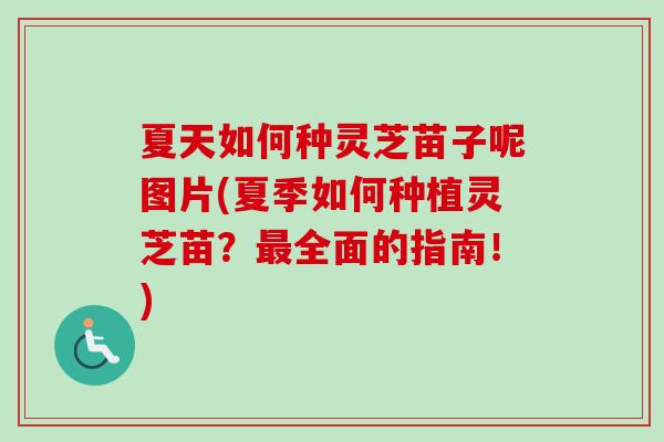 夏天如何种灵芝苗子呢图片(夏季如何种植灵芝苗？最全面的指南！)