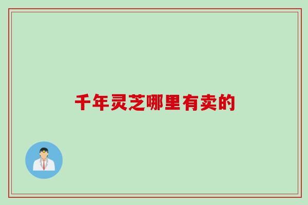 千年灵芝哪里有卖的
