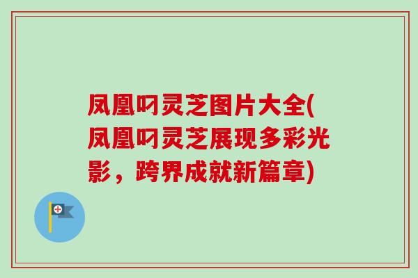 凤凰叼灵芝图片大全(凤凰叼灵芝展现多彩光影，跨界成就新篇章)