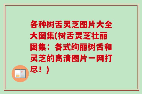 各种树舌灵芝图片大全大图集(树舌灵芝壮丽图集：各式绚丽树舌和灵芝的高清图片一网打尽！)