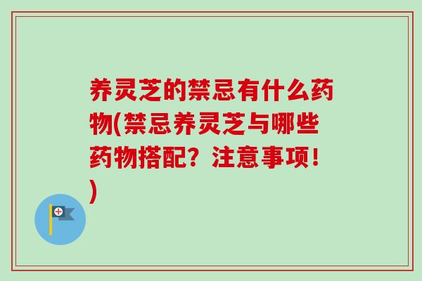养灵芝的禁忌有什么药物(禁忌养灵芝与哪些药物搭配？注意事项！)