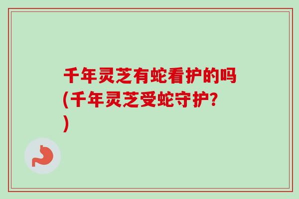 千年灵芝有蛇看护的吗(千年灵芝受蛇守护？)