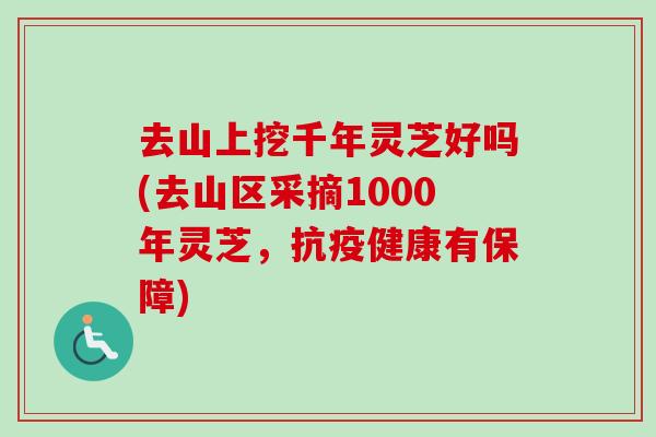 去山上挖千年灵芝好吗(去山区采摘1000年灵芝，抗疫健康有保障)