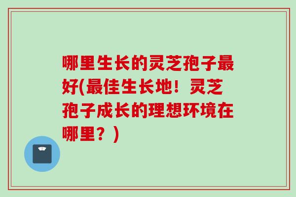 哪里生长的灵芝孢子最好(最佳生长地！灵芝孢子成长的理想环境在哪里？)