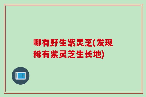哪有野生紫灵芝(发现稀有紫灵芝生长地)