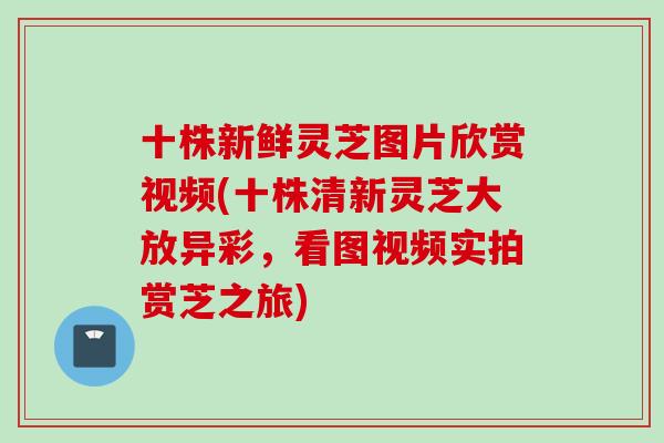 十株新鲜灵芝图片欣赏视频(十株清新灵芝大放异彩，看图视频实拍赏芝之旅)
