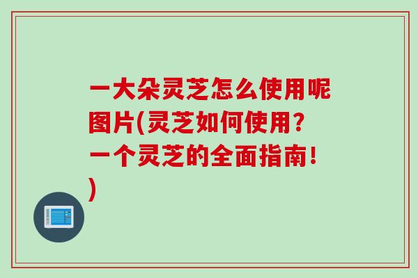 一大朵灵芝怎么使用呢图片(灵芝如何使用？一个灵芝的全面指南！)