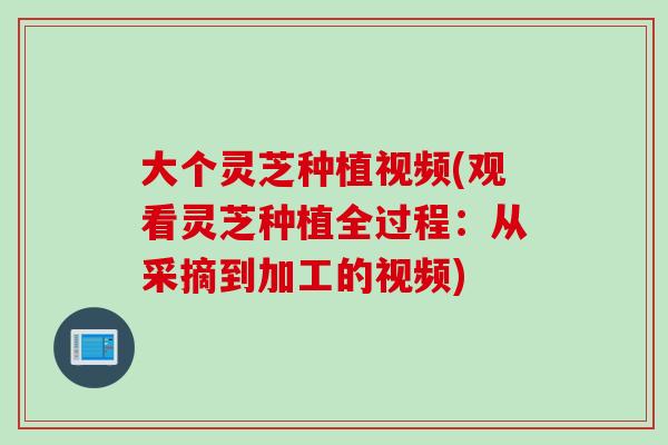 大个灵芝种植视频(观看灵芝种植全过程：从采摘到加工的视频)
