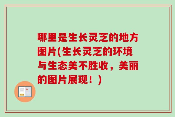 哪里是生长灵芝的地方图片(生长灵芝的环境与生态美不胜收,美丽的图片展现!)