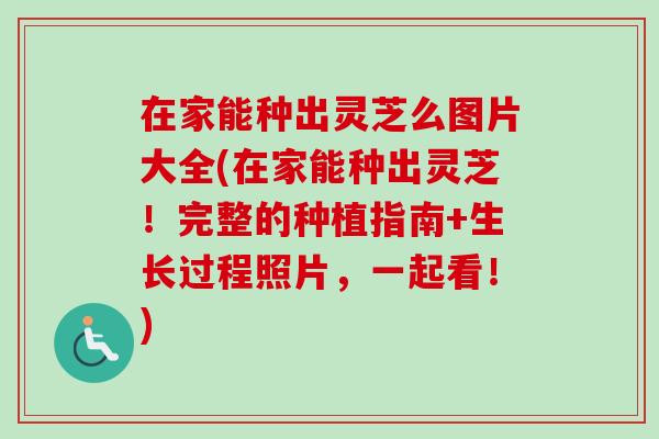 在家能种出灵芝么图片大全(在家能种出灵芝！完整的种植指南+生长过程照片，一起看！)