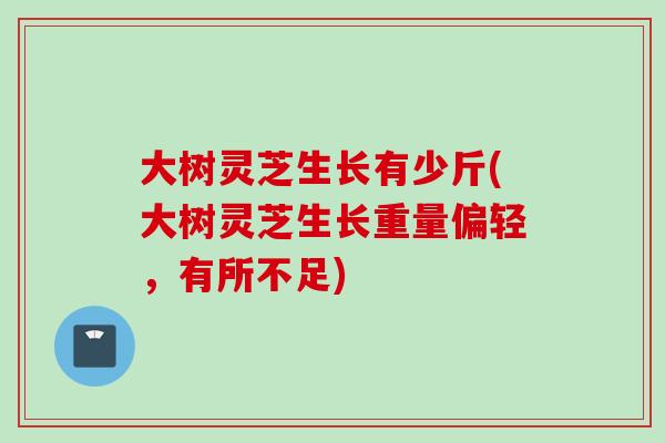 大树灵芝生长有少斤(大树灵芝生长重量偏轻，有所不足)