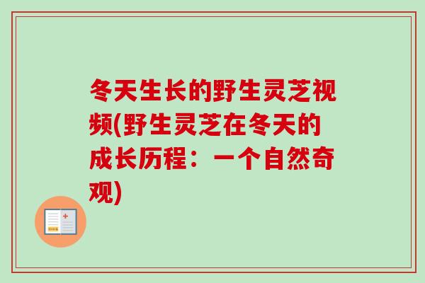 冬天生长的野生灵芝视频(野生灵芝在冬天的成长历程：一个自然奇观)