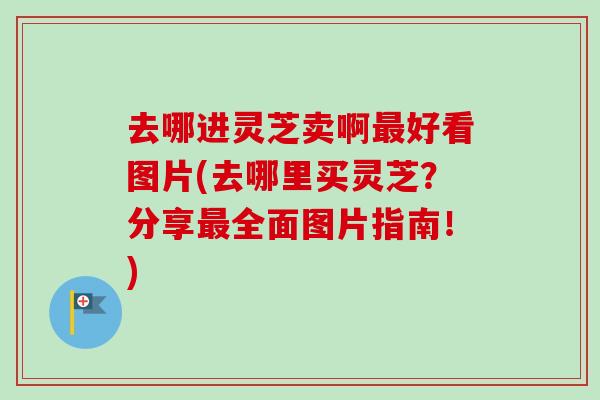 去哪进灵芝卖啊最好看图片(去哪里买灵芝？分享最全面图片指南！)