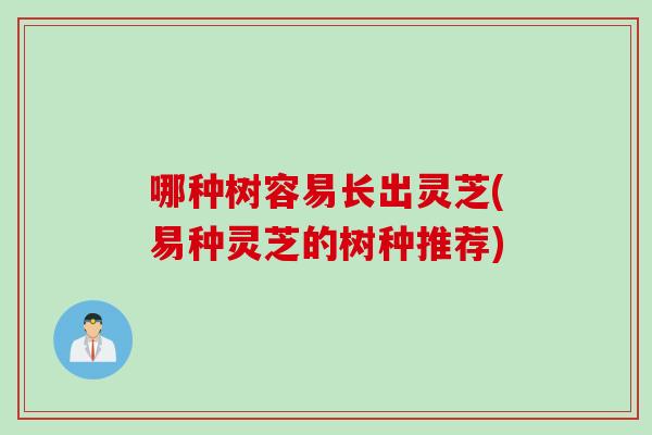 哪种树容易长出灵芝(易种灵芝的树种推荐)