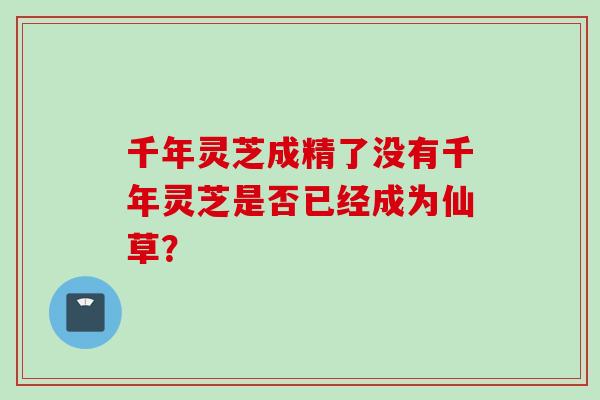 千年灵芝成精了没有千年灵芝是否已经成为仙草？
