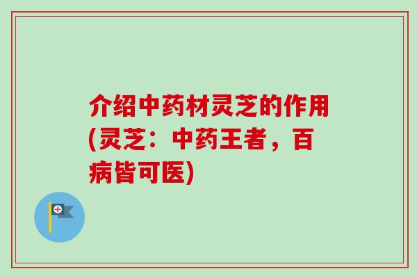 介绍中药材灵芝的作用(灵芝：中药王者，百病皆可医)