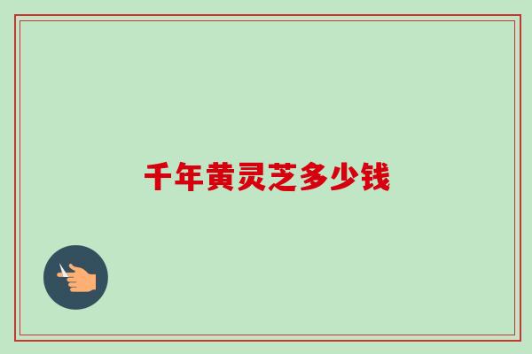 千年黄灵芝多少钱