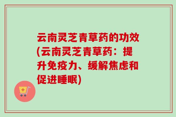 云南灵芝青草药的功效(云南灵芝青草药：提升免疫力、缓解焦虑和促进睡眠)