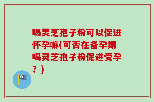 喝灵芝孢子粉可以促进怀孕嘛(可否在备孕期喝灵芝孢子粉促进受孕？)
