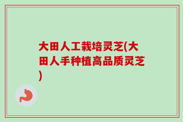 大田人工栽培灵芝(大田人手种植高品质灵芝)