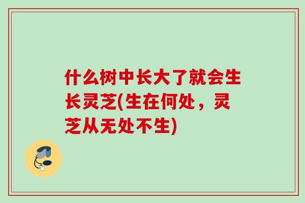 什么树中长大了就会生长灵芝(生在何处，灵芝从无处不生)