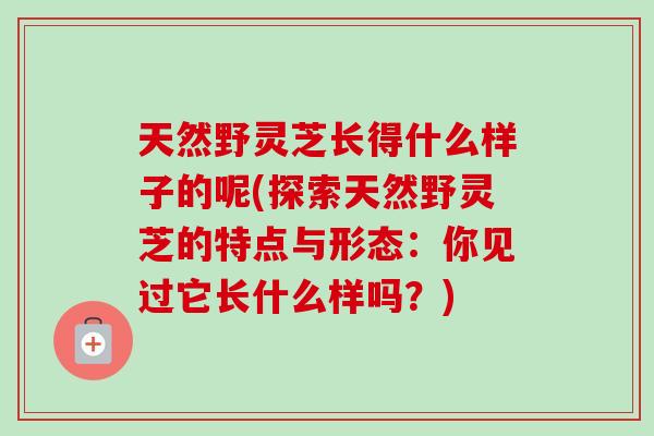 天然野灵芝长得什么样子的呢(探索天然野灵芝的特点与形态：你见过它长什么样吗？)