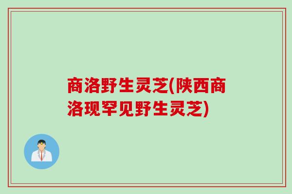 商洛野生灵芝(陕西商洛现罕见野生灵芝)