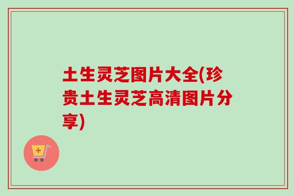 土生灵芝图片大全(珍贵土生灵芝高清图片分享)