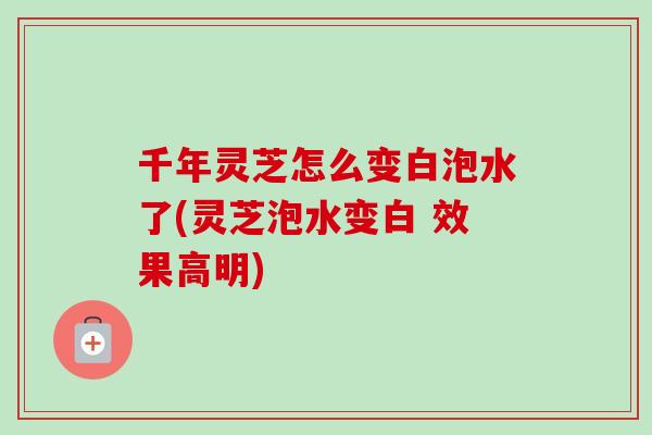 千年灵芝怎么变白泡水了(灵芝泡水变白 效果高明)